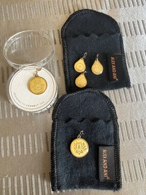 Alex and Ani Precious Chain Station Charm Bundle!